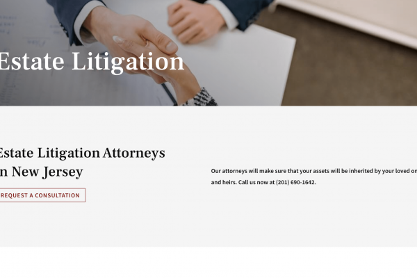 Contesting Lawyer Google Ads Consultant Case Study