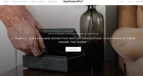 Key Protection Google Ads Case Study